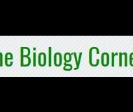 Biology Corner