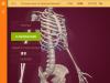 Sistema didáctico sobre la anatomía