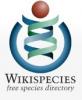 Wikispecies banana-soft.com